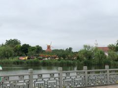 -杭州湾海上花田景区
