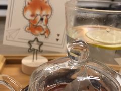 -柴迷FANS CLUB·柴犬狗咖·猫咖