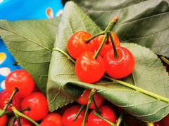 -樱桃山旅游景区