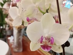 -东门烤鸭店(鼓楼店)