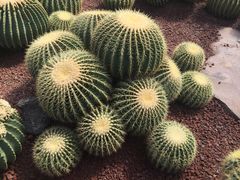 -南通洲际绿博园