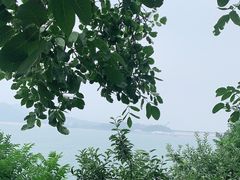 -望湖烤鱼
