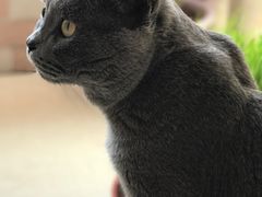 -北京赛佳动物医院