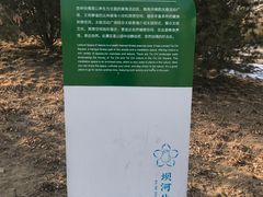 -坝河休闲公园