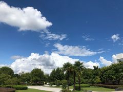 -东华大学(松江校区)