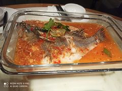 招牌柠檬鲈鱼-佬肥猫(国华广场店)