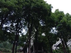 -重庆平顶山公园