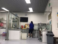 -达爱动物医院·犬猫分区·CT·复杂眼科(远洋山水分院)