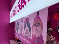 -K22.酸奶草莓(烟台芝罘店)