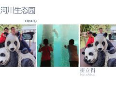 -河川生态园