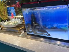 -伍棵煋炭烤自助料理·烤鳗鱼(浦东食品城店)