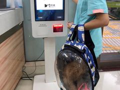 -瑞鹏宠物医院·微创内窥镜·骨外科·牙科(翠竹分院)
