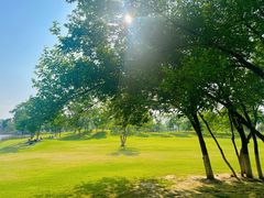 -盘龙城国家考古遗址公园