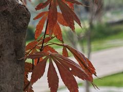 -汉长安城未央宫国家考古遗址公园