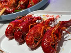 -杨氏青龙虾·羊蝎子(托乐嘉店)
