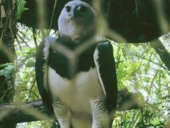 -杭州野生动物世界