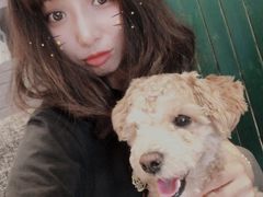 -百好乐宠物友好餐厅(朝外大街店)