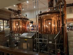 -宝莱纳啤酒花园餐厅PAULANER BRAUHAUS Nanjing(广州路店)