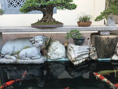 -天竺岩寺