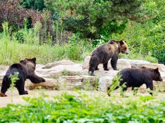 -北京野生动物园