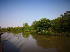 -大湾区中央湿地公园