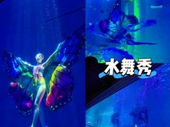 -哈尔滨极地公园