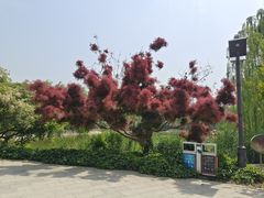 -南翠屏公园