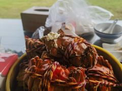 -七的湖·晚芳亭·阳澄湖农家菜·大闸蟹(莲花岛店)