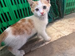 -四川大学(华西校区)