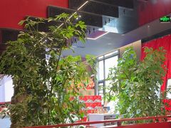 -唐河王记·南阳民间菜(国基路店)