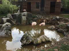 -昆明动物园