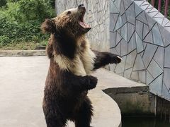 -贵州森林野生动物园