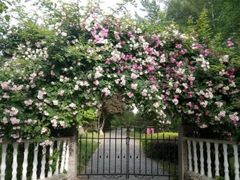 -西部兰花园生态园