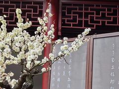 -豫园