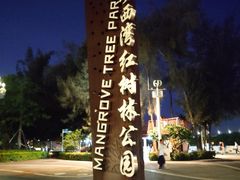 -宝安西湾红树林湿地公园