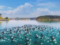 -仙海旅游度假区