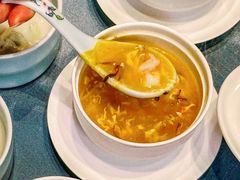 -新光酒家·河豚·海鲜·蟹料理(浦东店)