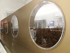 -喜茶(永旺梦乐城店)