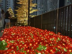 -新城市广场