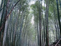 -会稽山峡洞漂流-上青古道