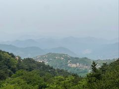 -鲁山国家森林公园