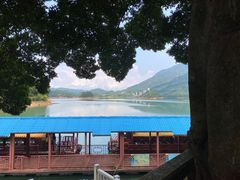 -广州市流溪河国家森林公园