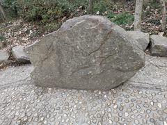 -上海佘山国家森林公园天马山园