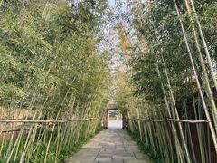 -新荣记(西溪湿地店)