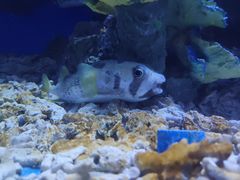 -华夏文旅海洋公园