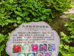 -太阳宫公园
