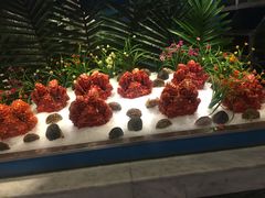 帝王蟹-阳光岛·海鲜盛宴(银泰中心in99店)