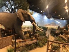 -陕西自然博物馆