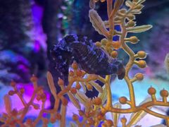 -沈阳海洋探索中心