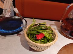 -芸山季·云南野生菌火锅(人民广场来福士店)